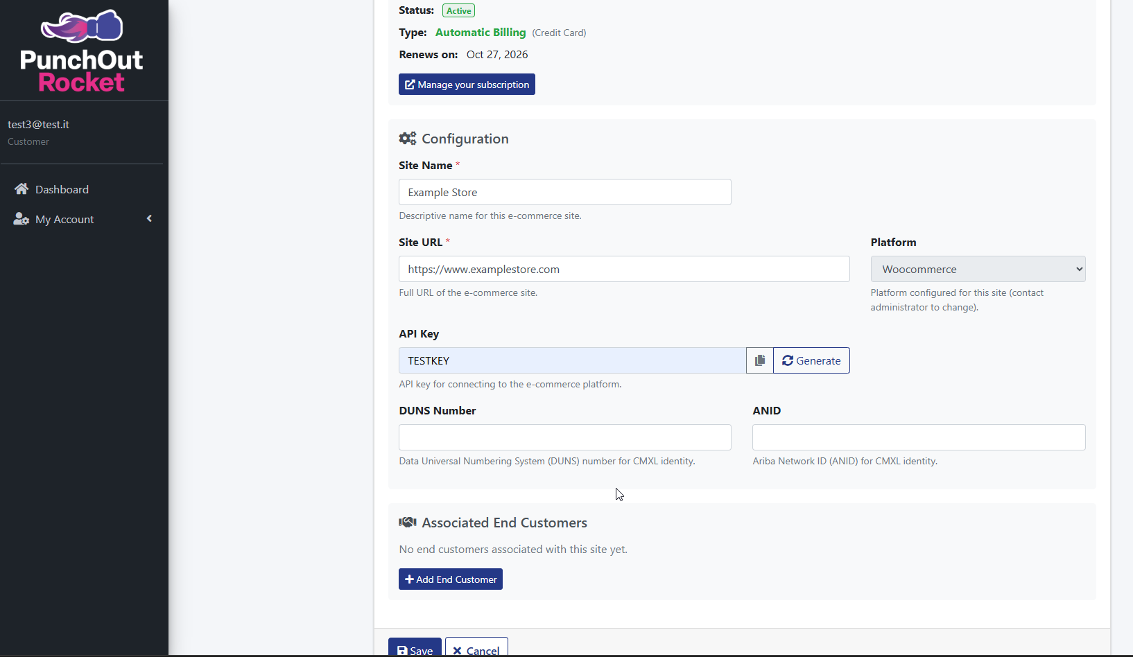 Screenshot showing PunchOut Rocket e-commerce configuration with API key, platform, URL, and subscription status.
